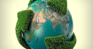 Portal da Educação Ambiental promove ensino sobre meio ambiente e sustentabilidade