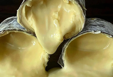 Queijo brasileiro entra na lista de melhores do mundo por revista americana