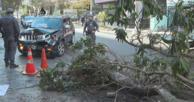 Motorista embriagada colide com carro e derruba árvore na Vila Mariana, Zona Sul de São Paulo
