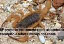 SP promove treinamento sobre acidentes com escorpião e reforça manejo